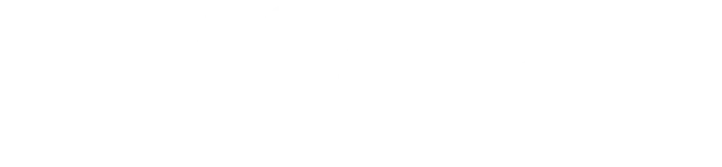 AGARUサイト分析レポート